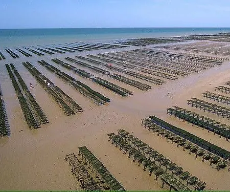 Heron Confortable Avec Belle Terrasse Vue Degagee Sur Champs 3 Parking Privatif A 900 M De La D'asnelles Et Tous Commerces, Bars Et Restaurants Pres De Bayeux Sur Plages Du Debarquement *